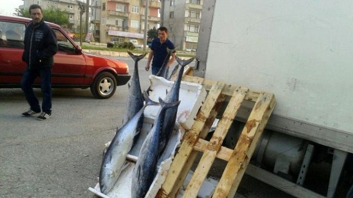 Kaçak Balık Satıcılarına Göz Açtırılmıyor