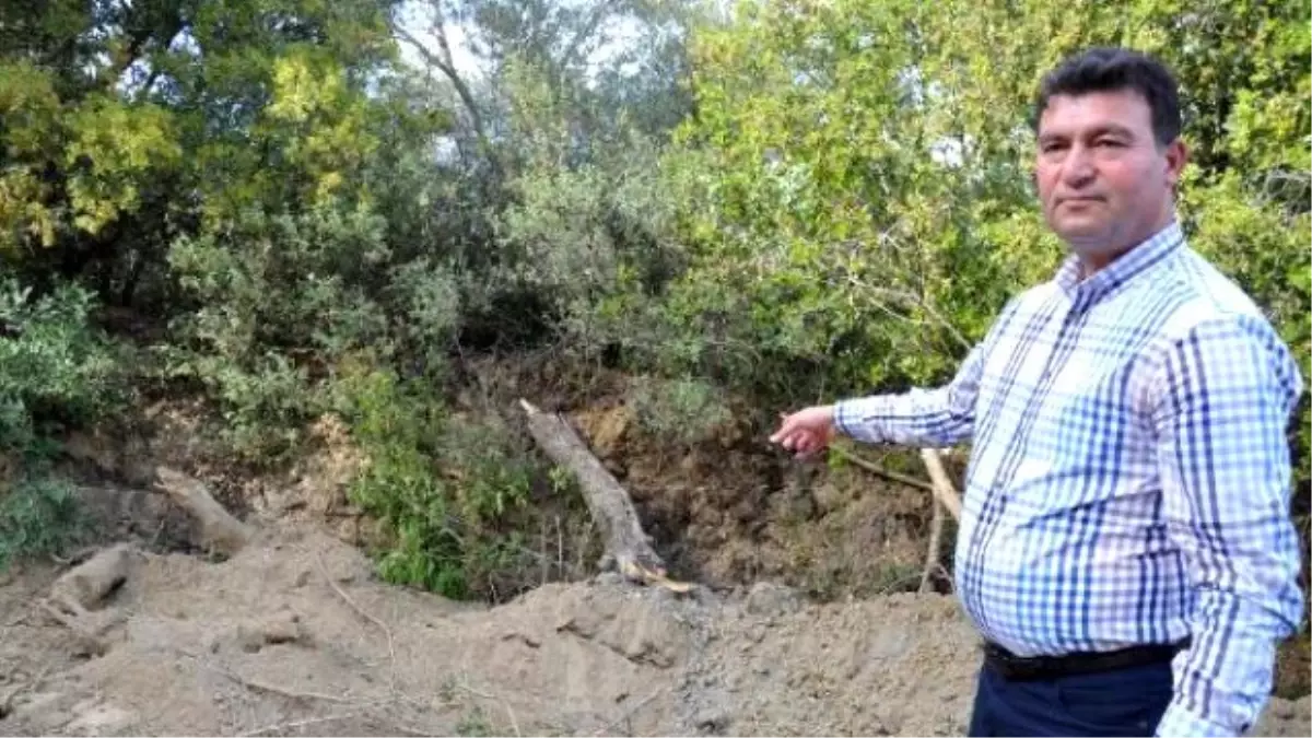 Ağaç Keserek Yol Açan Enerji Firmasına Belediye Engeli