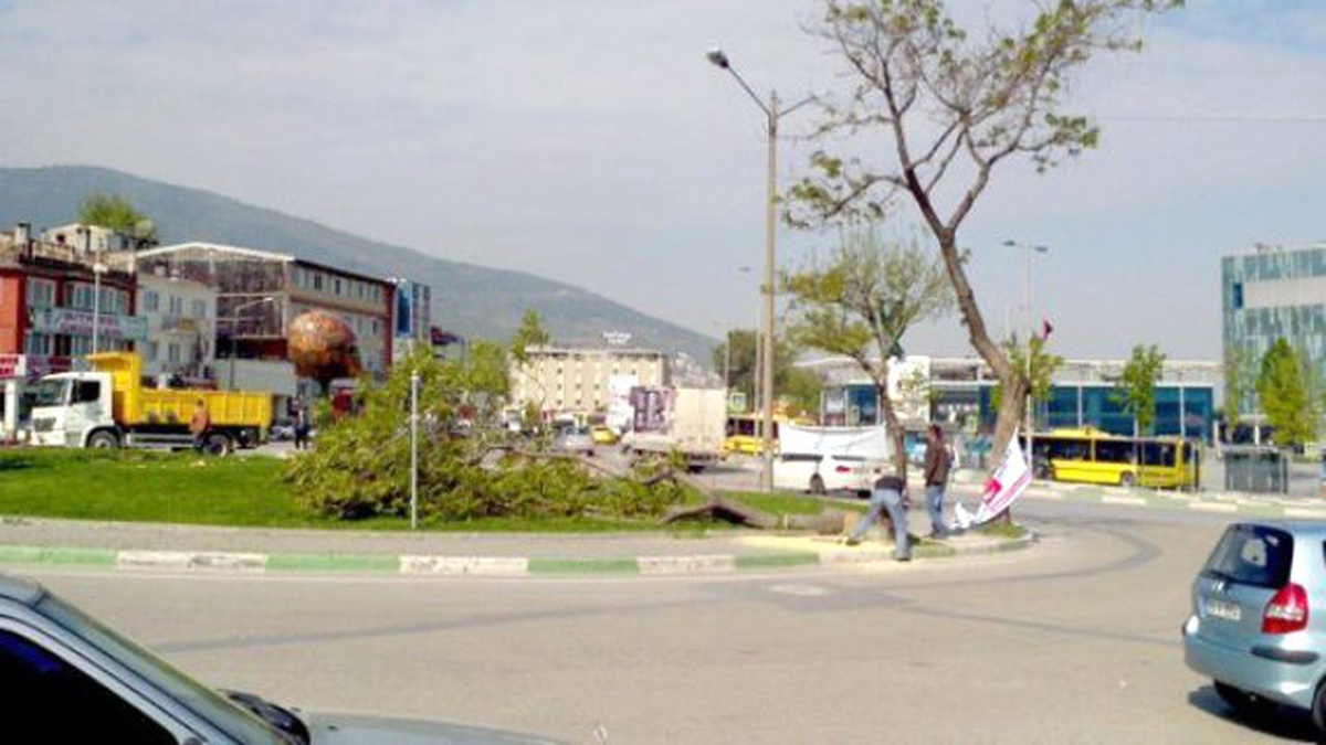 İzmir\'de Tramvay Hattı İçin Yüzlerce Ağaç Kesildi