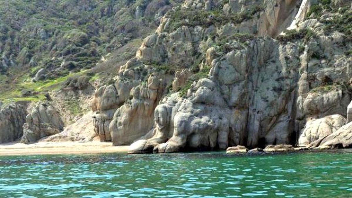 Karabiga\'da Akdeniz Foklarına Yakın Takip