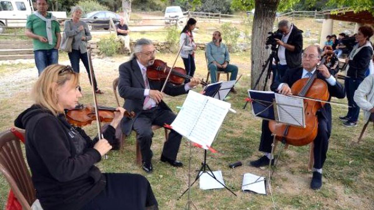 Pedasa Festivali Sona Erdi