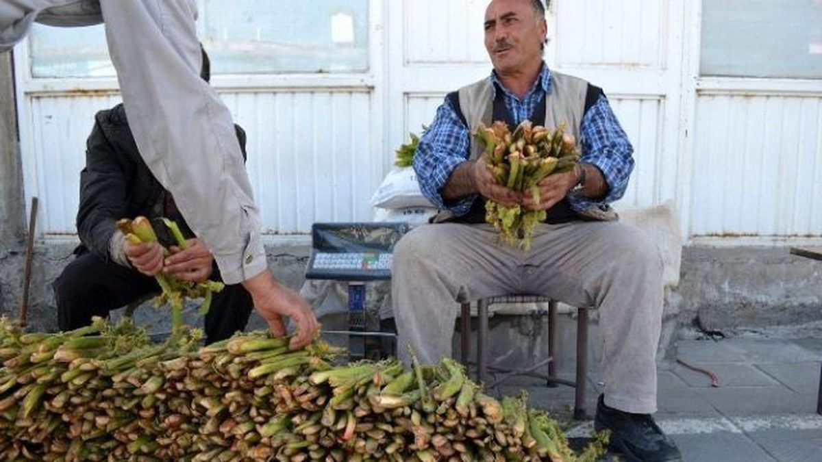 Yayla Muzu' Tezgahlardaki Yerini Aldı