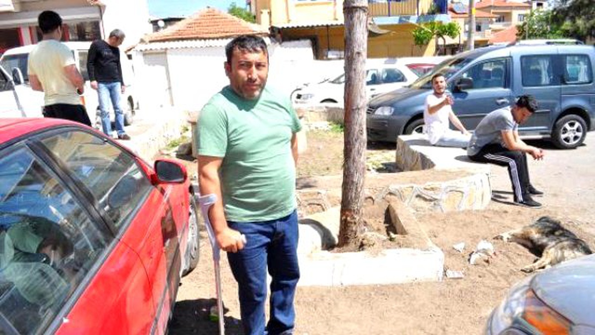 Zehirli Gıdayla Köpek İtlafı