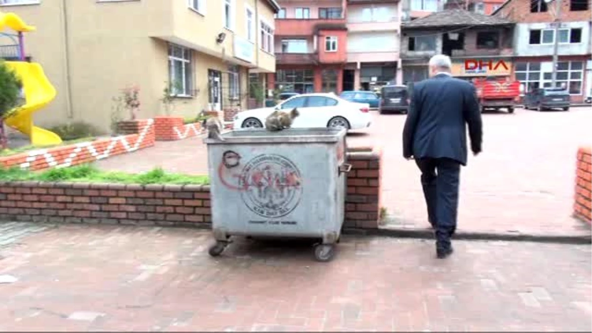 Zonguldak Belediye Başkanı Gençlere Örnek Olmak İçin Futbola Geri Döndü