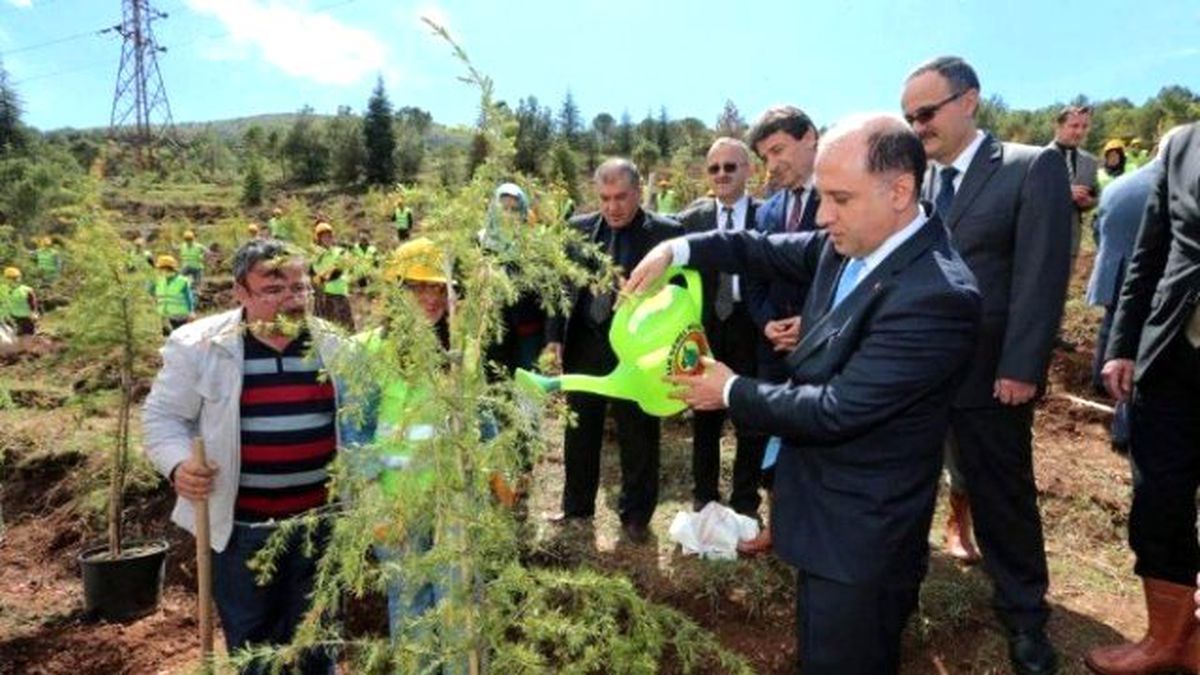Amasya\'da Davutoğlu İçin Hatıra Ormanı Oluşturuldu