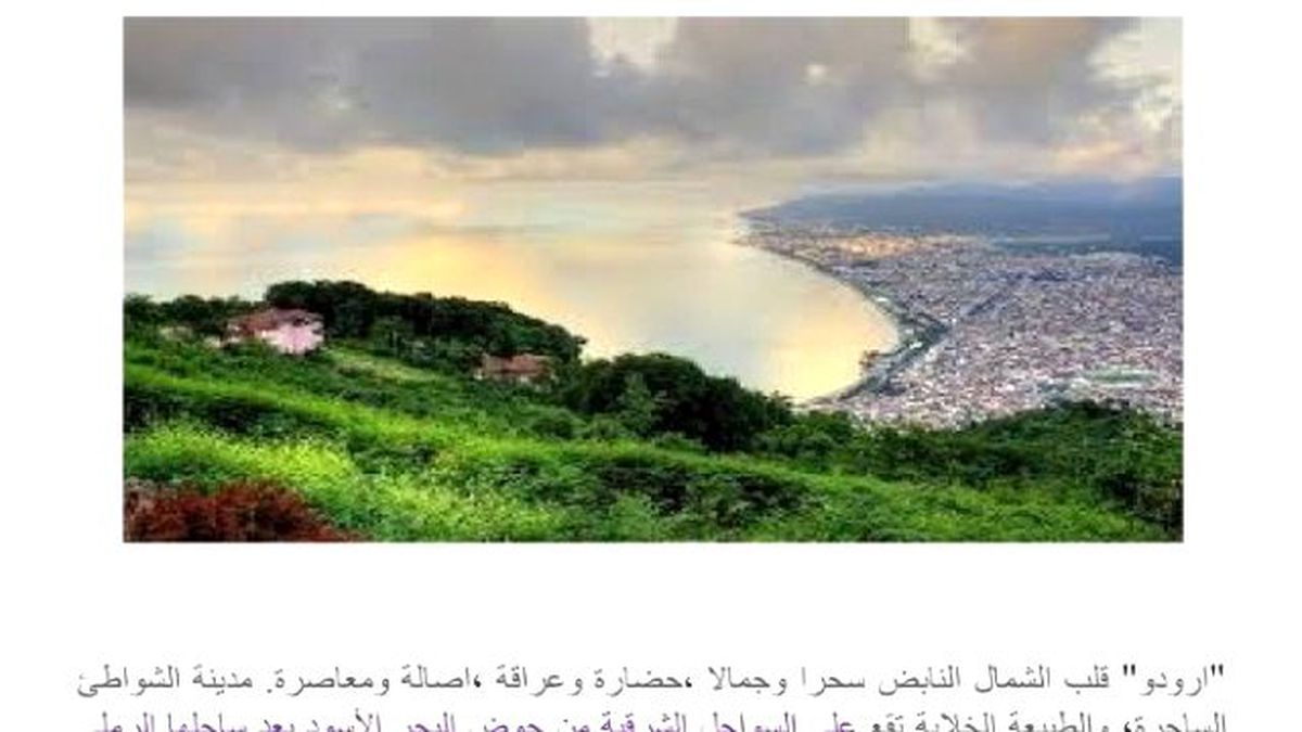 Arap Medyası 20 Mayıs\'ta Ordu\'da