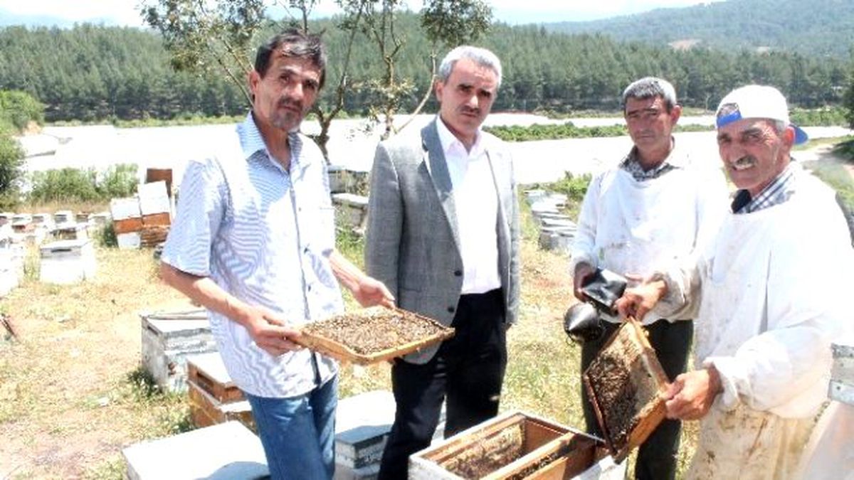 Bal Üreticileri Yeni Bir Göç Yolunda