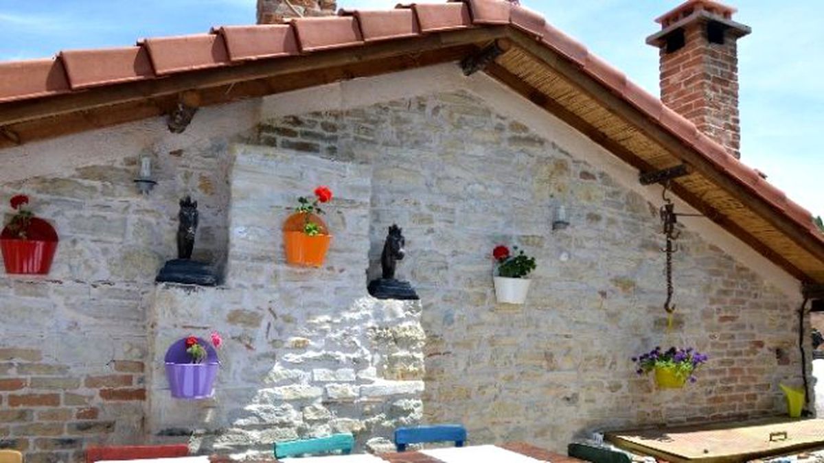 Caferli\'de 2. Çiçek Şenliği Düzenlendi