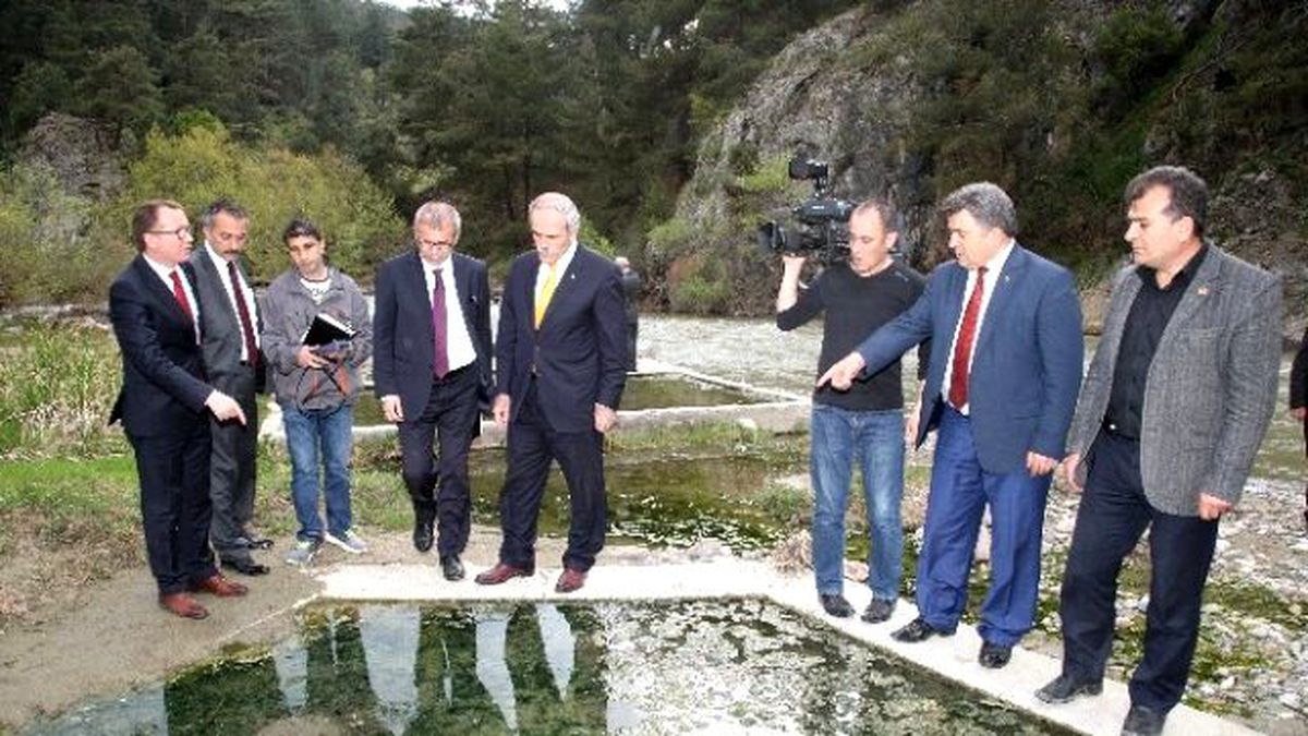 Dağ Bölgesine Termal Tesis
