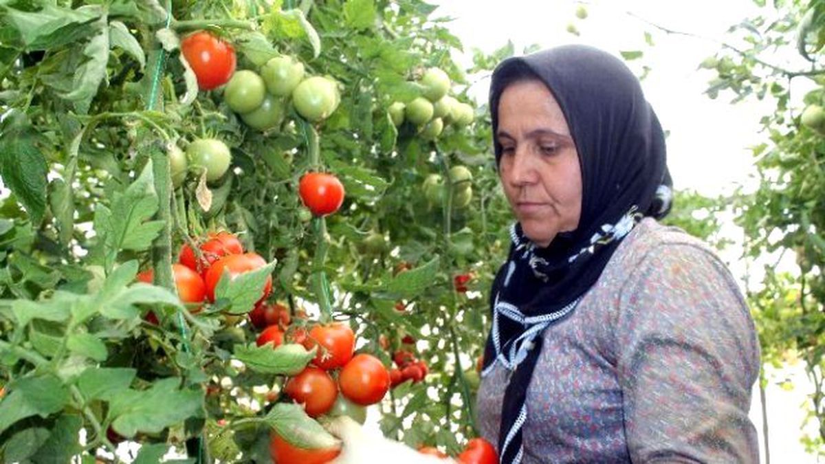 Ege İhracatını Tarım Ayakta Tuttu