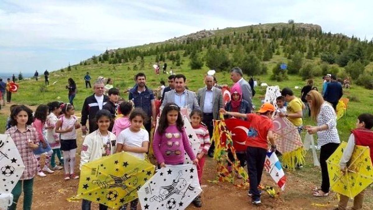 Ergani\'de Uçurtma Şenliği