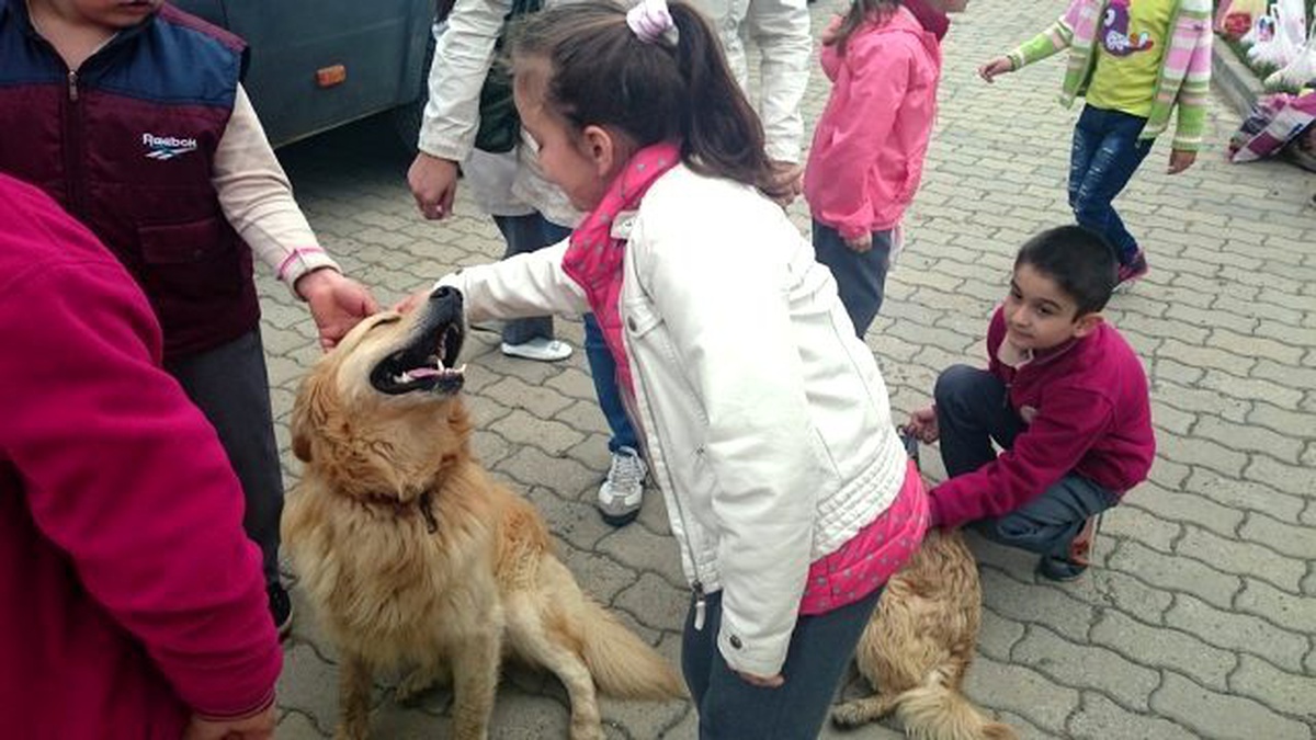Geçici Bakımevi Ziyareti İle Öğrencilere Hayvan Sevgisi Aşılanıyor