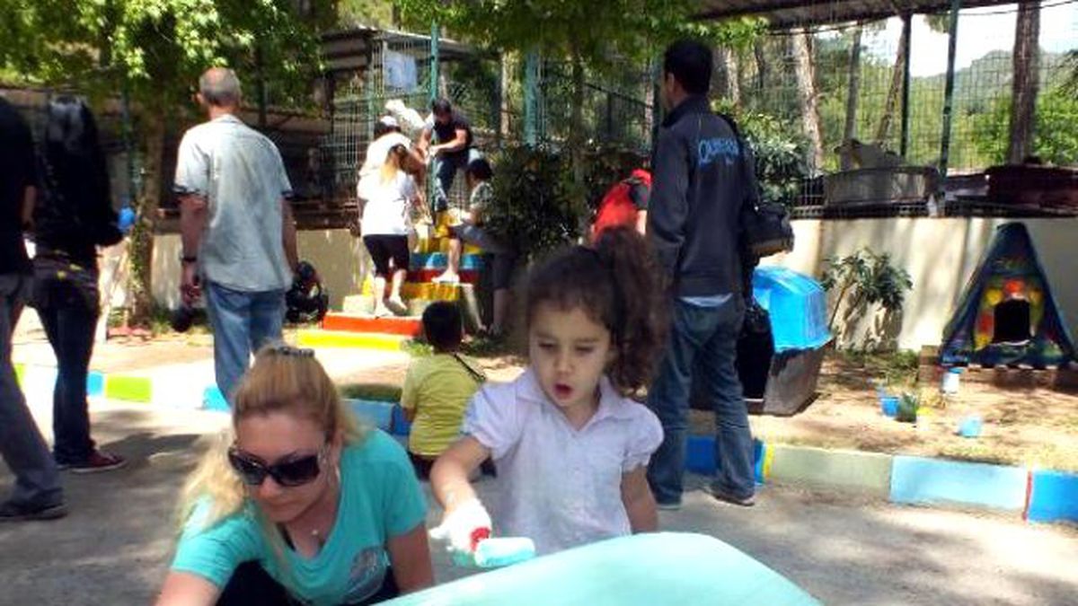 Hayvanseverler Barınağı Rengarenk Boyadı