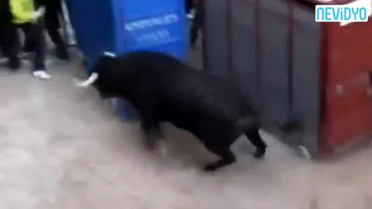 Kafesin Kapağını Kırıp Herkese Saldırdı!