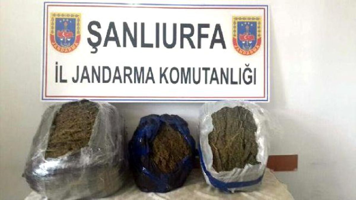 Şanlıurfa\'da Uyuşturucu ve Kaçakçılık Operasyonu: 5 Gözaltı