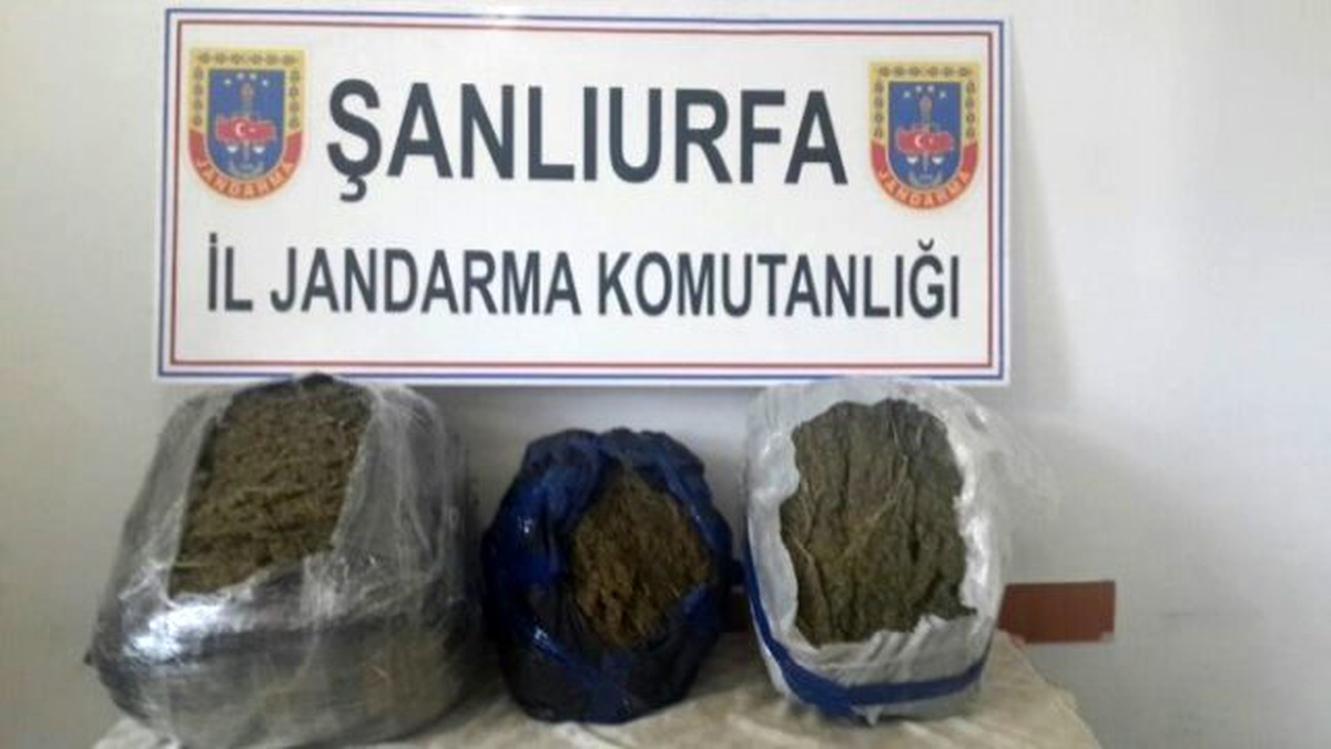 Şanlıurfa\'da Yol Kontrolü Sırasında Esrar Yakalandı