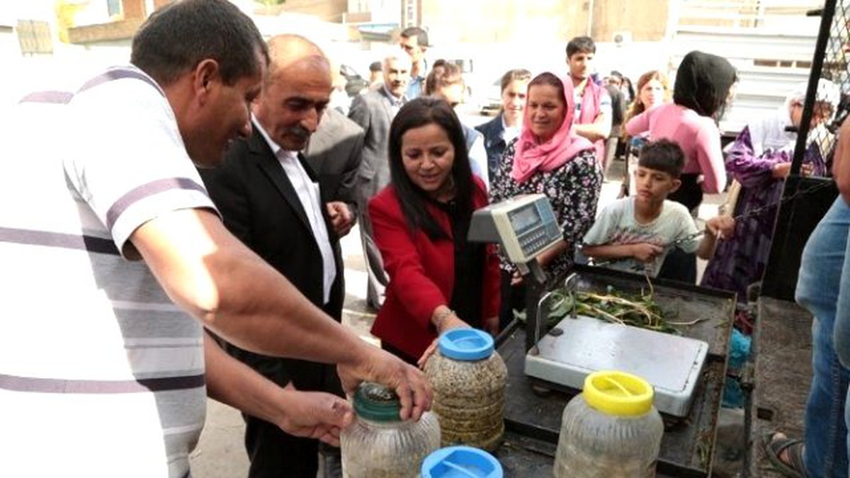 Silopi\'de Köy Ürünleri Pazarı Kuruldu