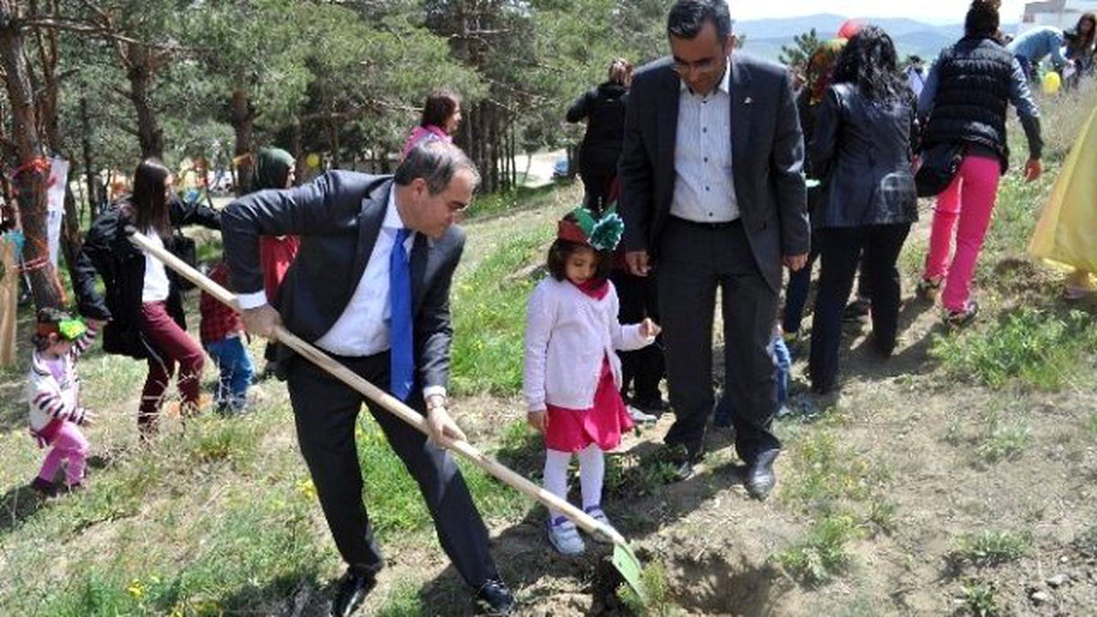 Sungurlu Myo Kampüs Alanına Fidan Diktiler