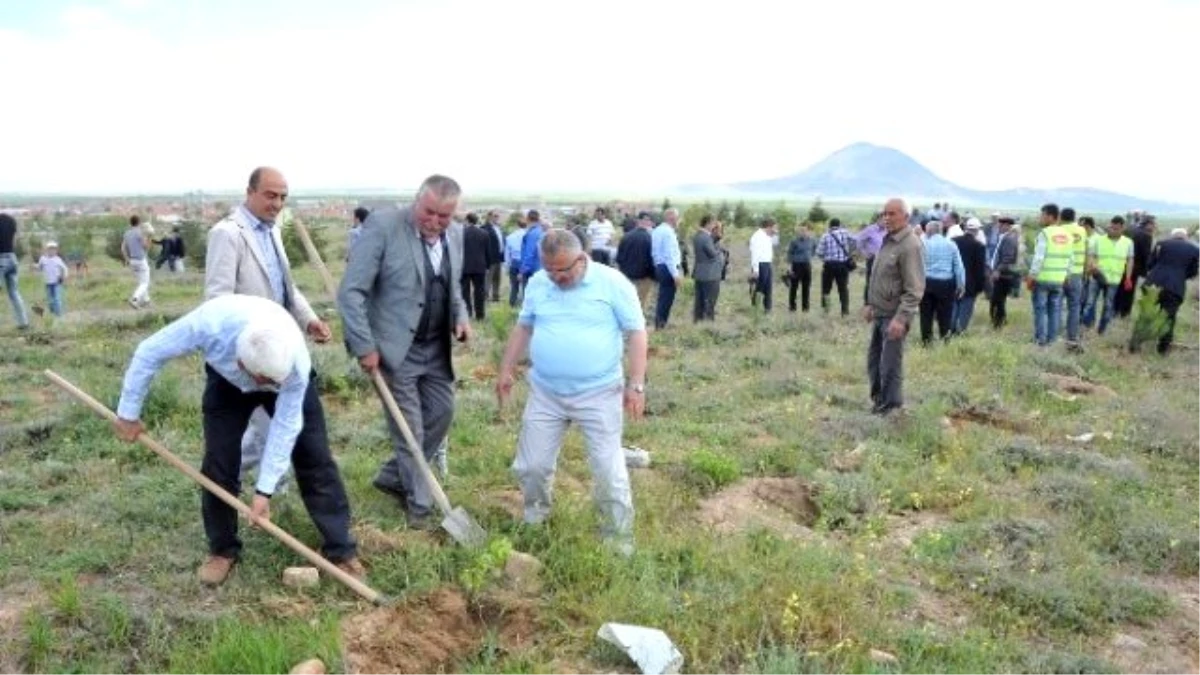 Yağmur Duasının Ardından Fidan Dikimi