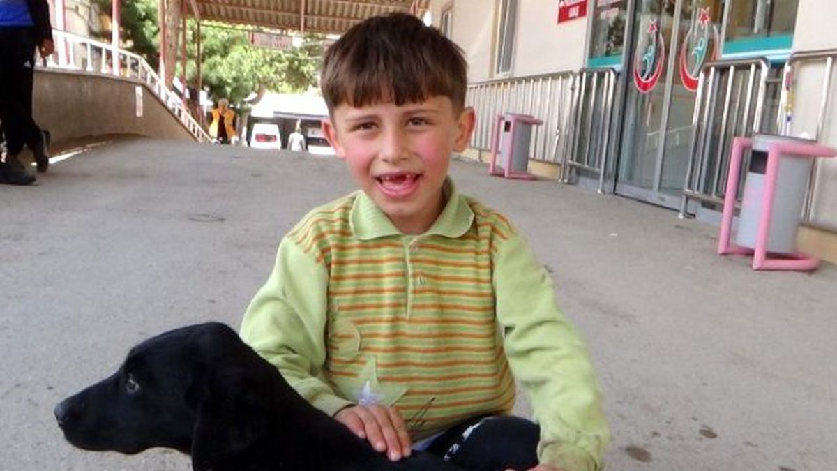 Yaralı Köpeği Acil Servise Getirdi