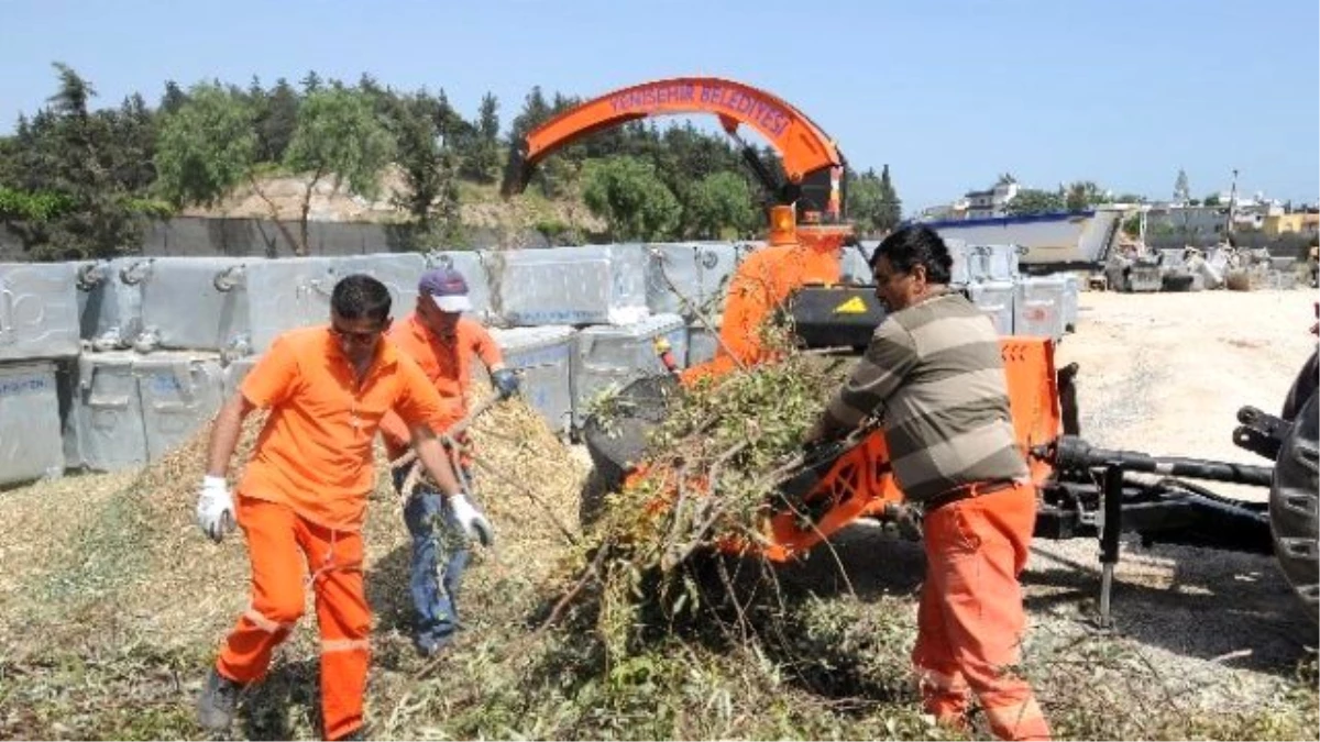 Yenişehir\'de Budanan Dallar Geri Dönüşüme Kazandırılıyor