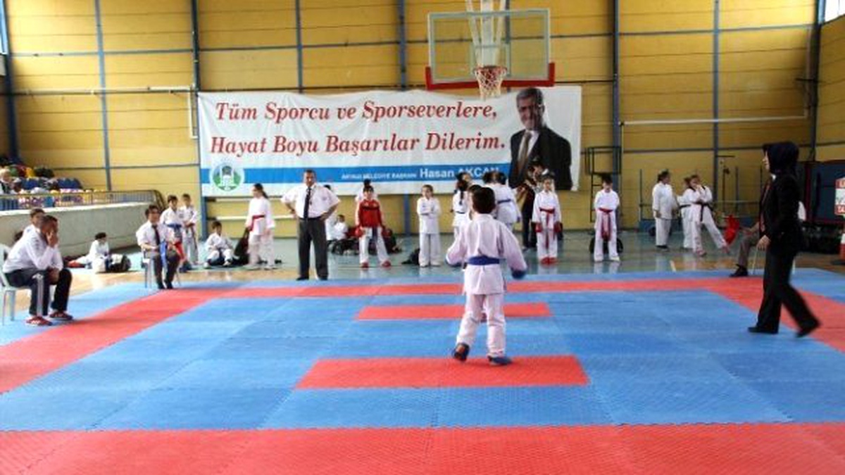 Akyazı Belediyesi Spor Şenlikleri Karate Turnuvası ile Devam Ediyor
