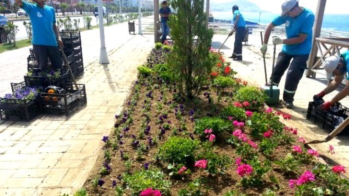 Alanya\'da Refüjleri Begonviller Süsleyecek