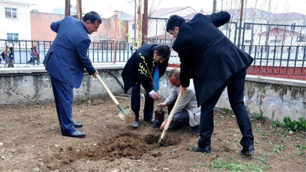 Çaldıran Kaymakamlığı Tarafından Fidan Dikimi Gerçekleştirildi