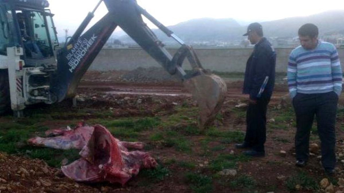 İslahiye\'de 700 Kilo Et İmha Edildi