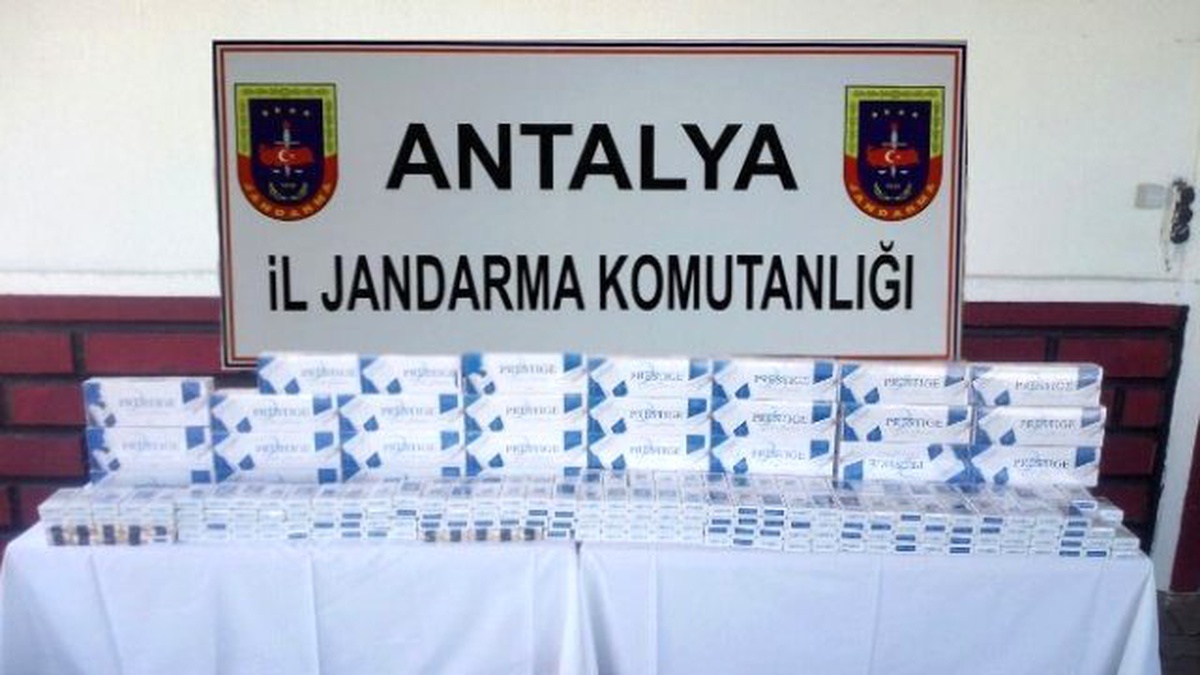 Jandarmadan Kaçak Sigara ve Kök Keneviri Operasyonu