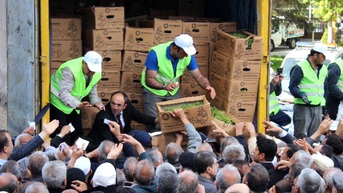 Kayseri\'de 500 Bin Domates Fidesi ve 1 Ton Gübre Dağıtıldı