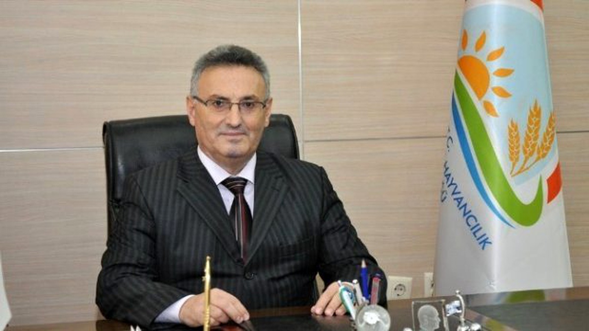 Projeni Hazırla Yüzde 50 Hibeden Yararlan