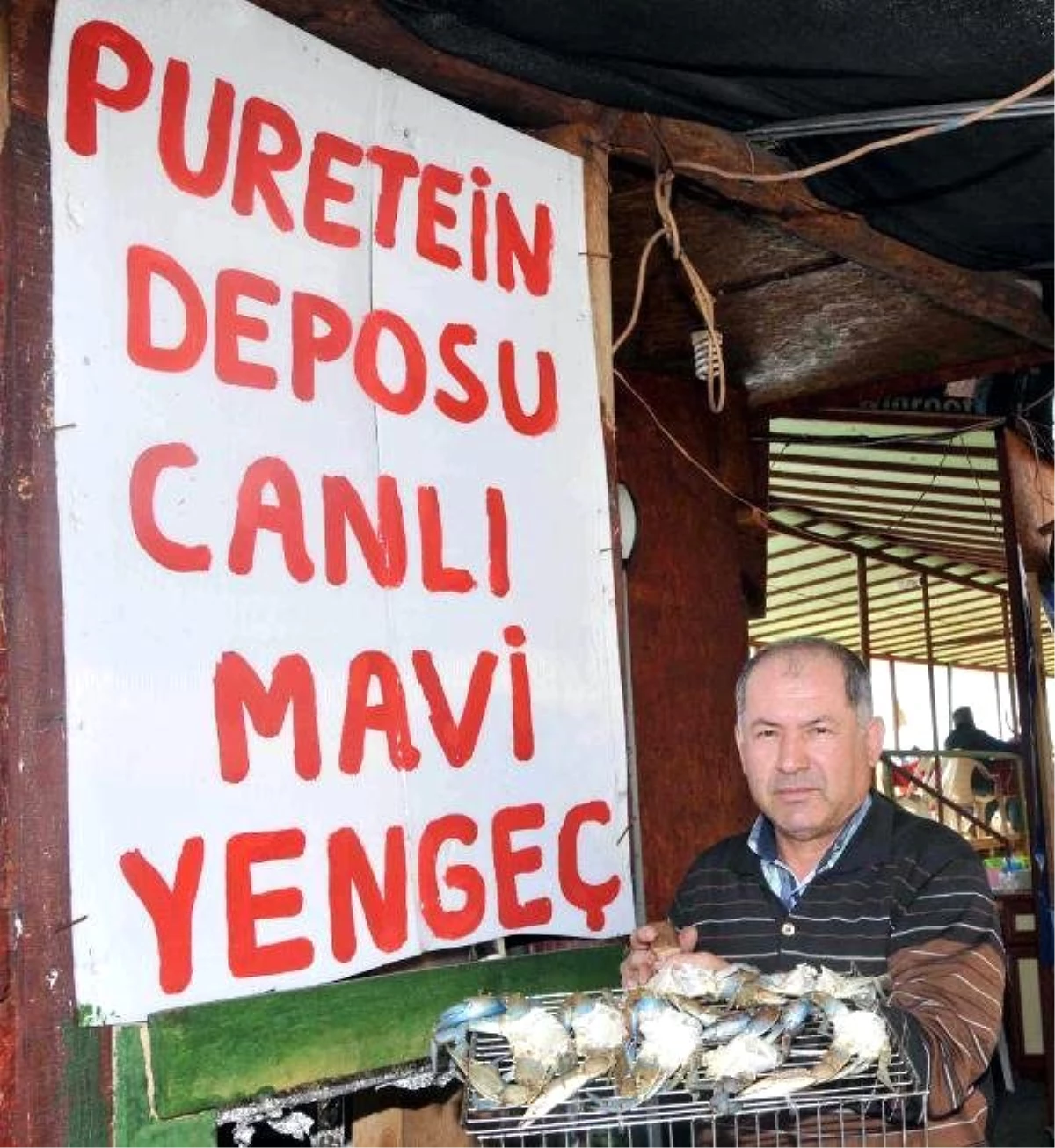 Puretein Deposu\' Mavi Yengeç İlgi Görüyor