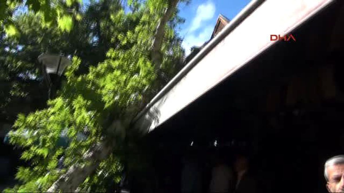 Şanlıurfa?da Çürüyen Çınar Ağacı Devrildi
