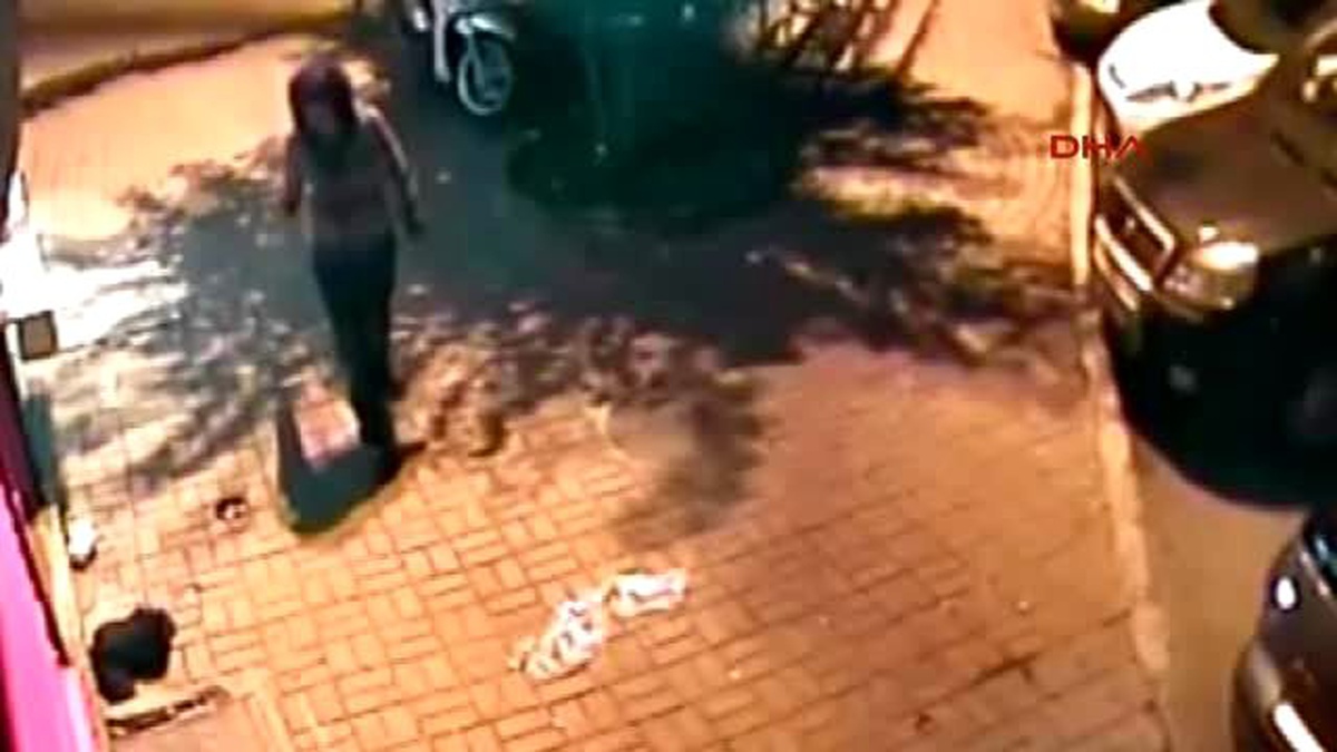Yavru Kedileri Öldüren Kadına, Hastanede Gözetim Kararı Çıktı