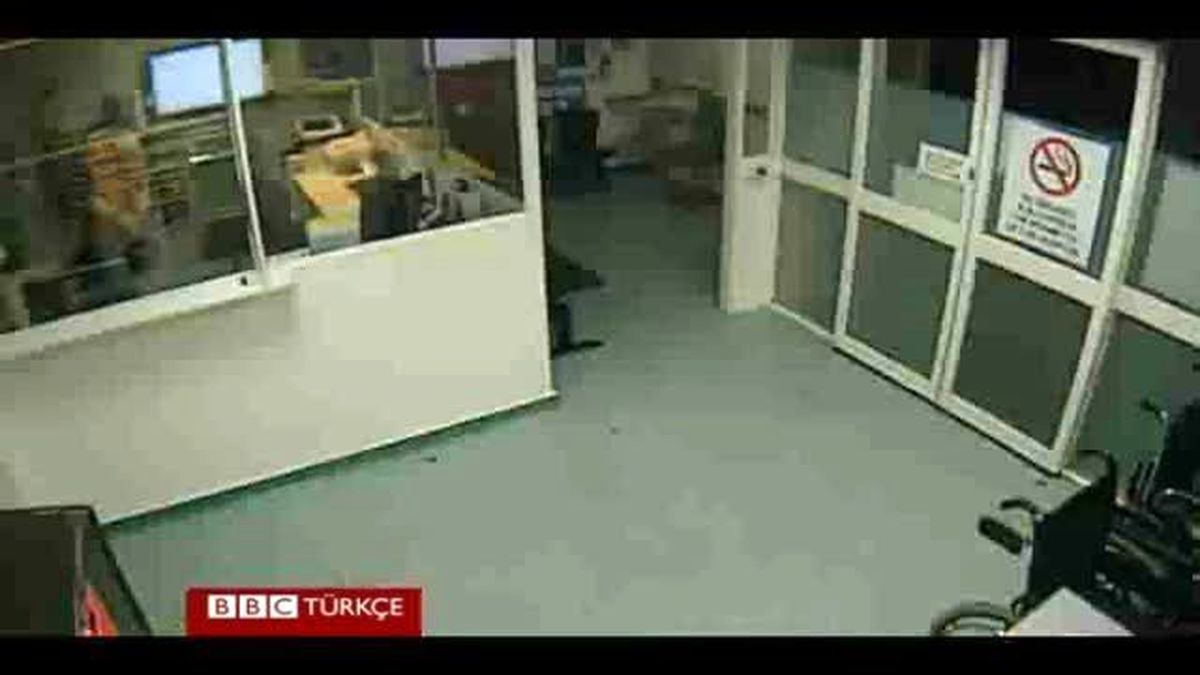 Yolunu Kaybeden Koala