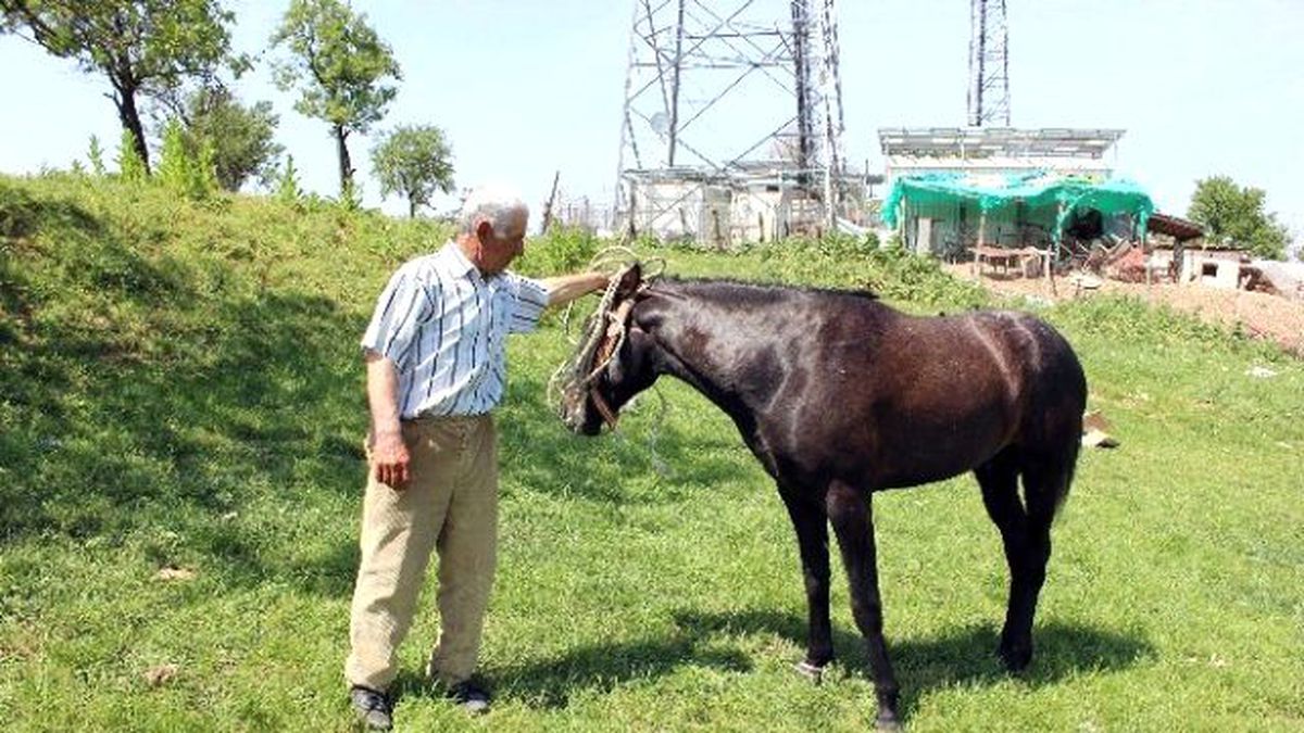 5 Bin Lira Maaşlı At Çobanı Fedai Gülsün, İş Başı Yaptı