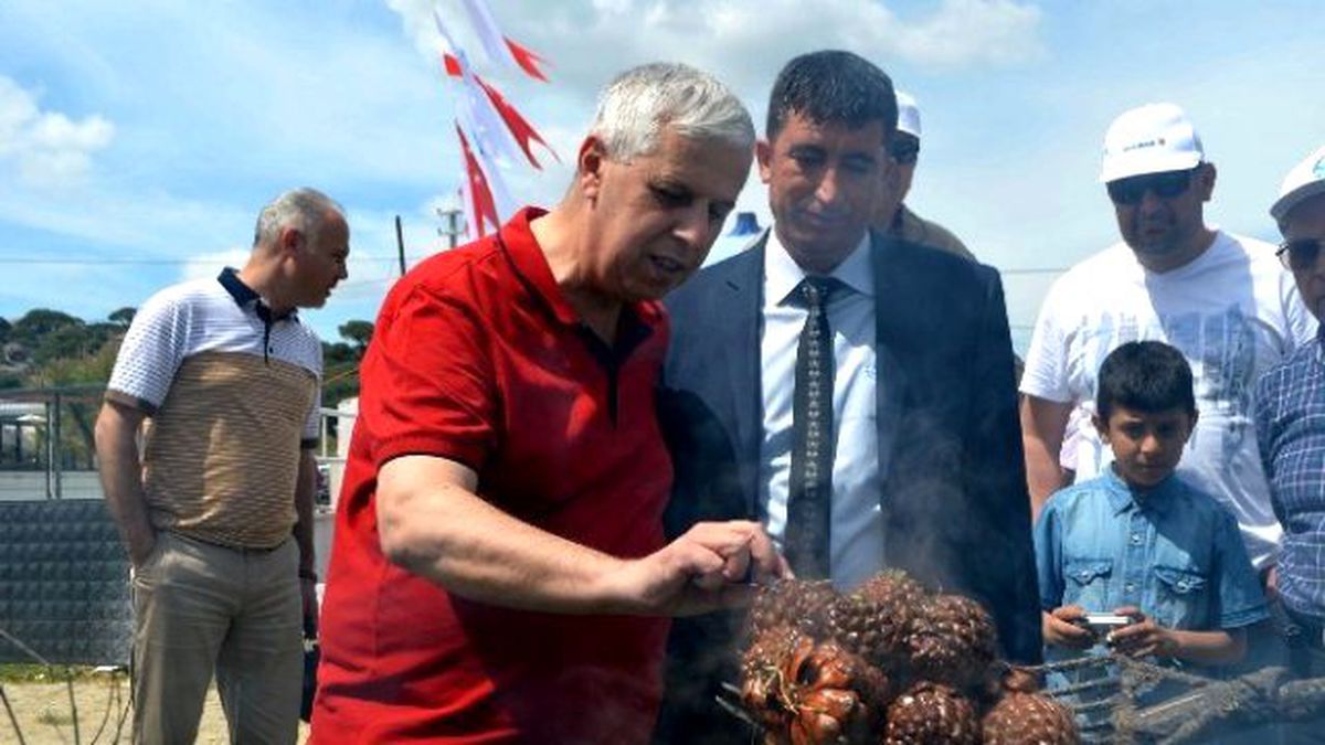 Altın Değerindeki Künarın Zorlu Yolculuğu