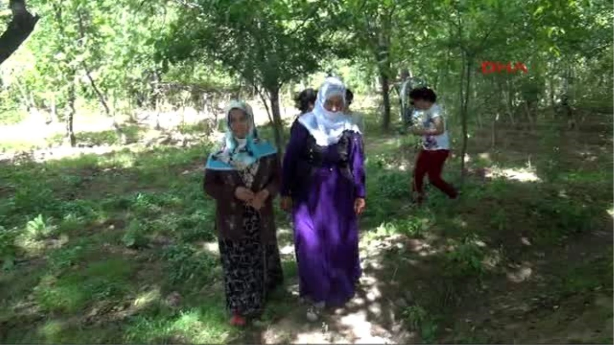 Diyarbakır\'da Mevsimlik Tarım İşçisi 156 Aile İş Sahibi Oldu