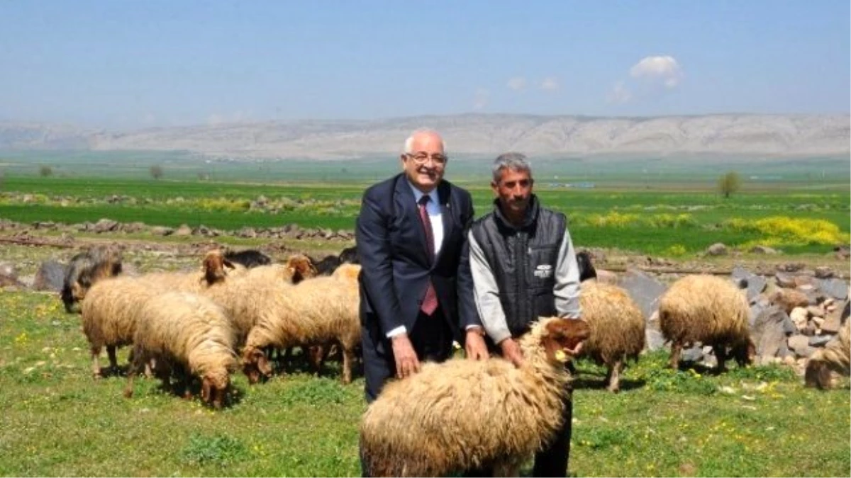 Erdoğan, "Dağdaki Çobanın da Milletvekiliyim""