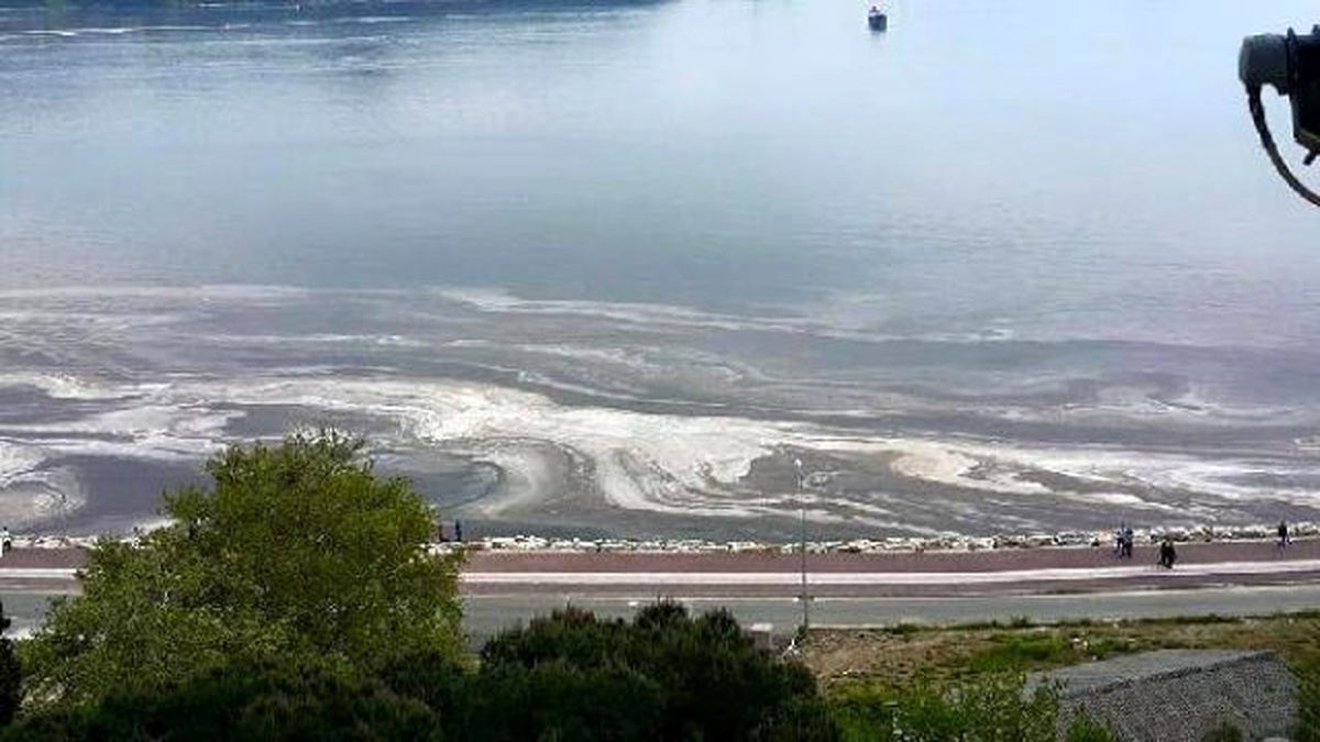 Gemlik Körfezi\'ndeki Renk Değişikliğinin Nedeni \'Alg Patlaması\'