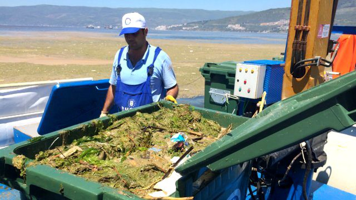 Gemlik Körfezi\'ndeki Renk Değişikliğinin Nedeni \'Alg Patlaması\'