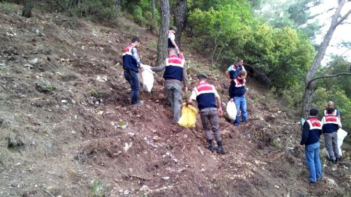Ormanda Ağaçları Kesip Kenevir Ekmişler