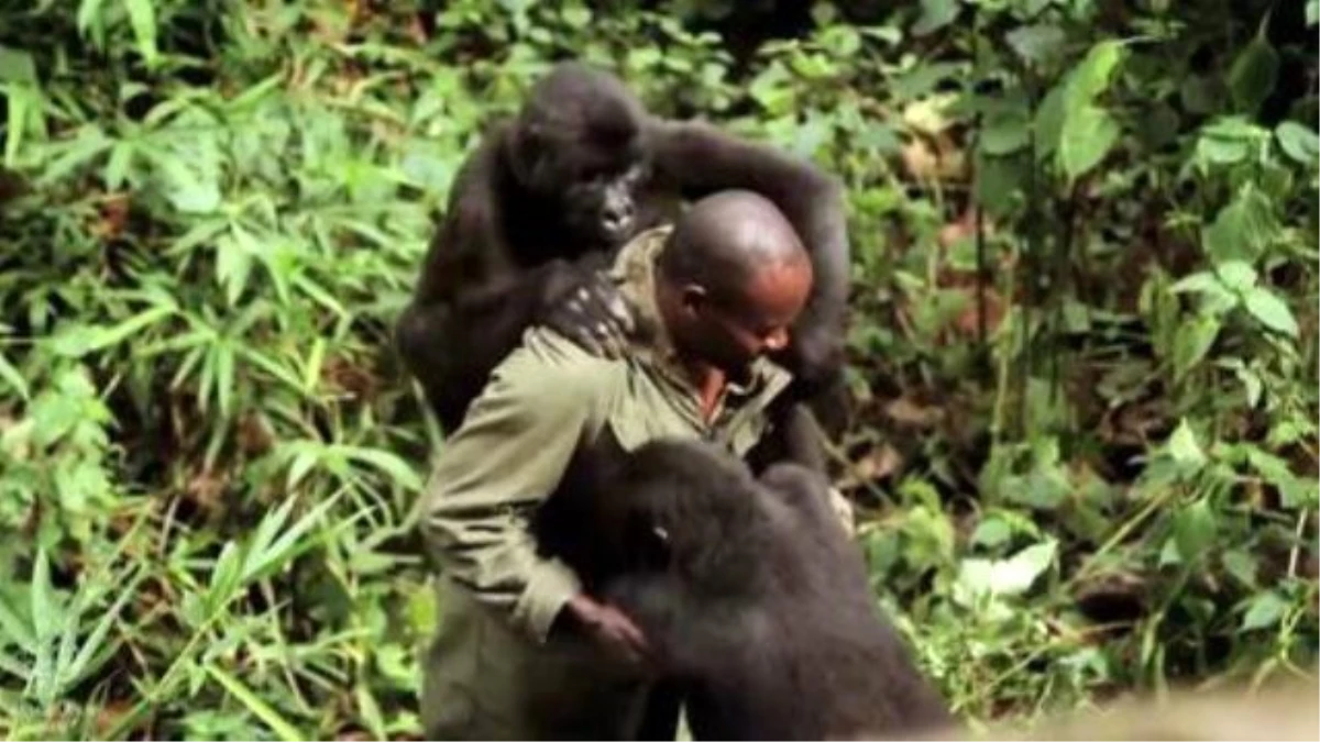 Virunga\'dan Hikayeler - Yeniden Yeryüzü