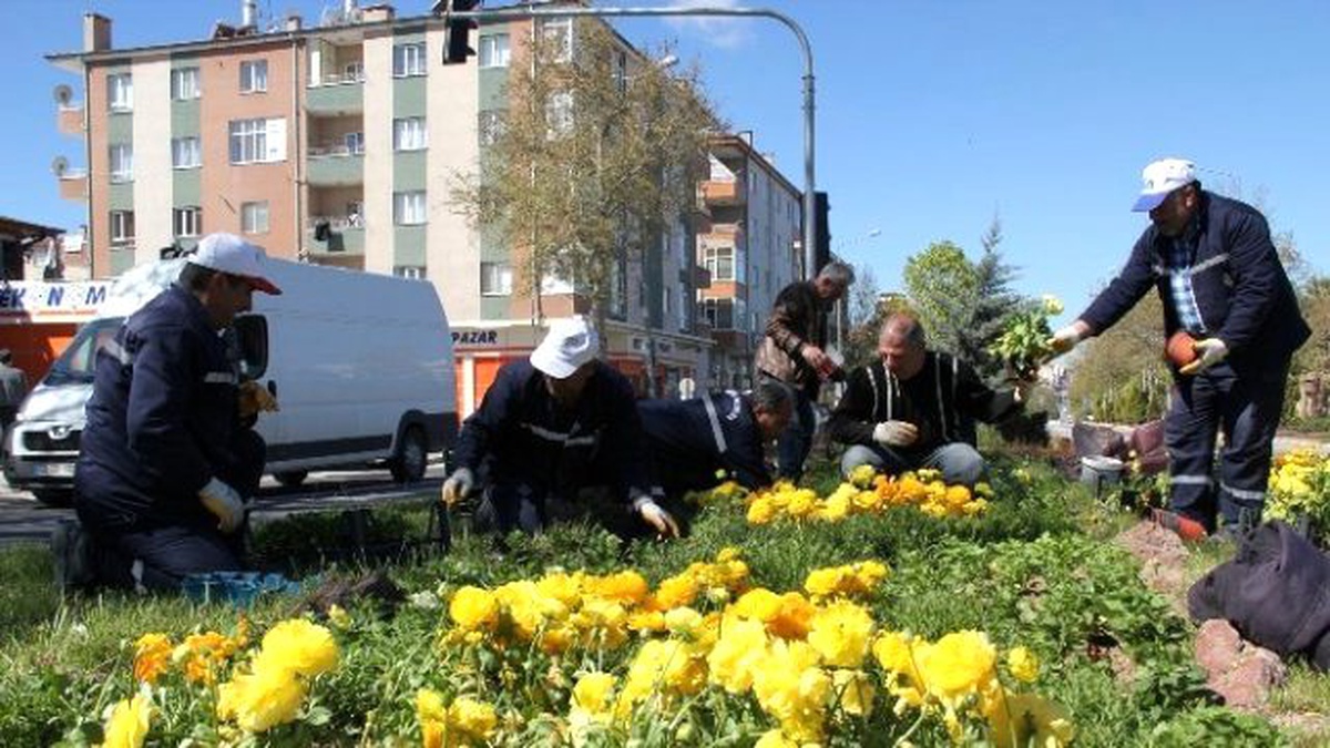 Yeşil Alanlar Yaz Dönemine Hazırlanıyor