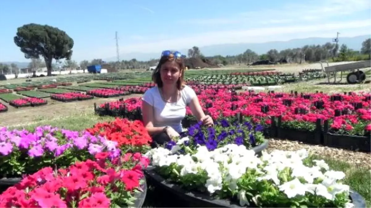 Bayındırlı Üreticilerden Kooperatif Aracılığıyla İhracat Atağı