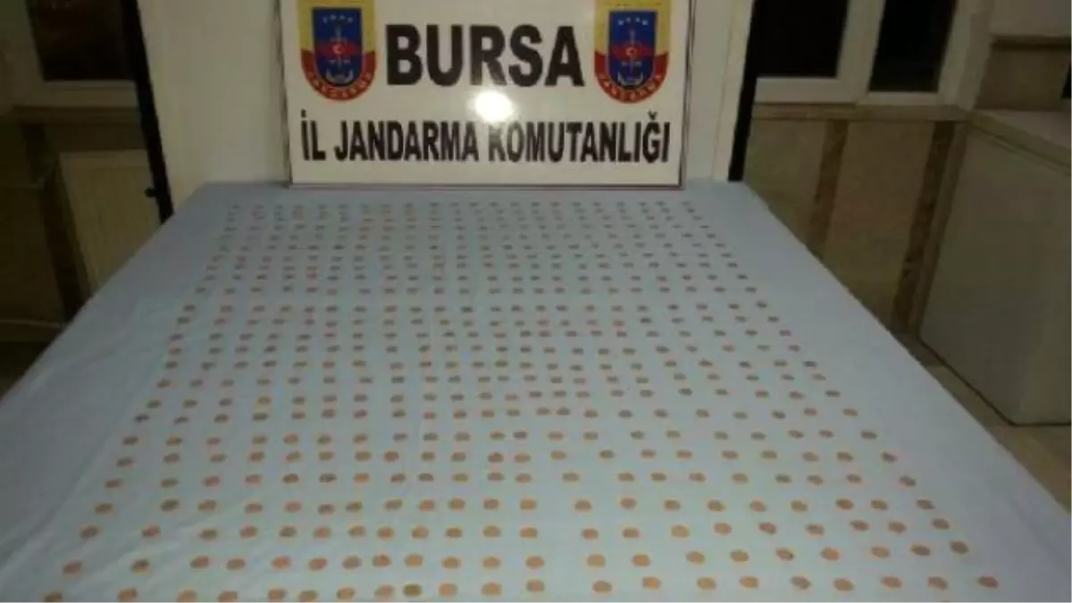 Bursa\'da Jandarma 563 Venedik Dukası Ele Geçirdi