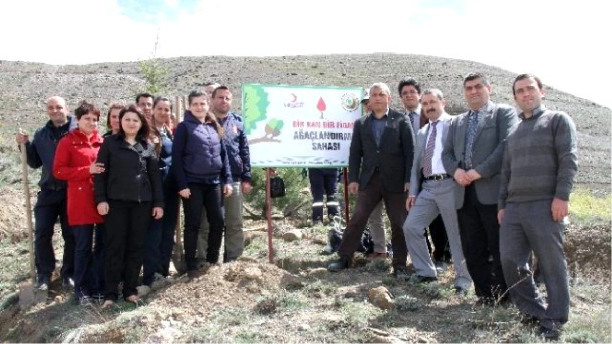 Erzincan\'da "Bir Kan, Bir Fidan" Projesi ile 14 Bin 500 Çam Fidanı Dikildi