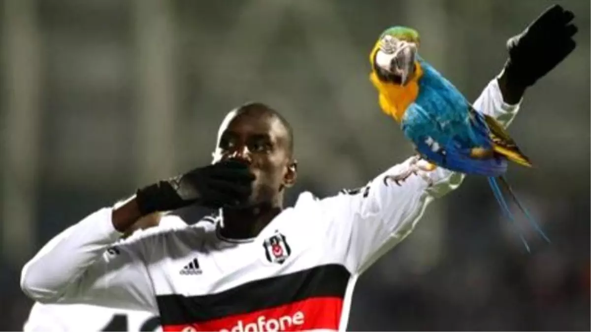 Papağandan Demba Ba\'ya Özel Beste