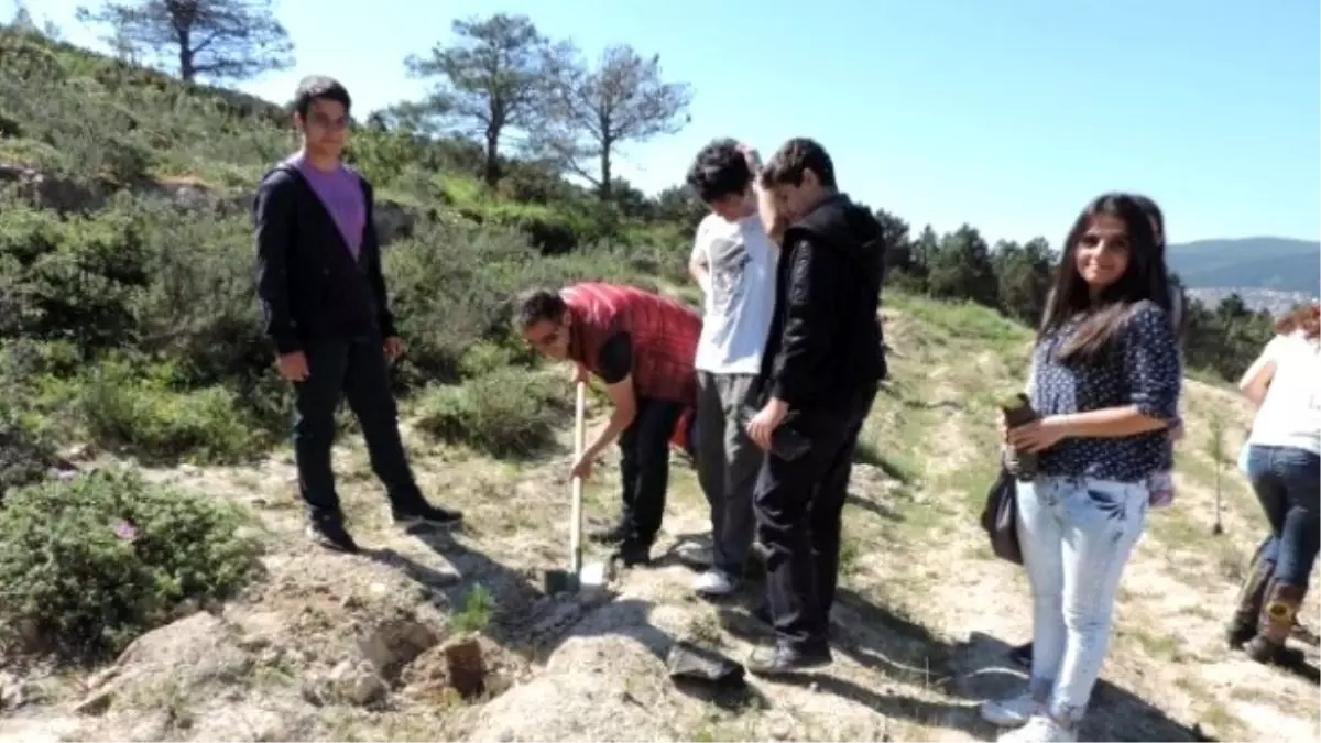 Sultanbeylili Öğrenciler Fidan Dikti